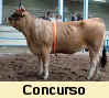 Nuevo Concurso
